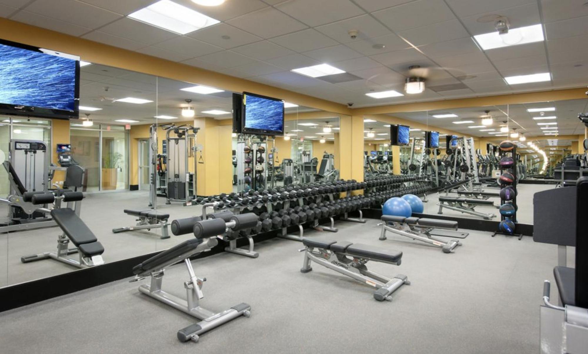 Cozy In The Heart Of Marina Del Rey Free Parking And Swimming Pool *